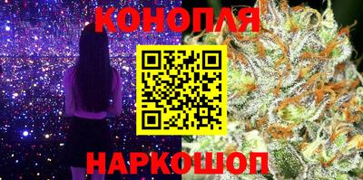 стафф Бердск