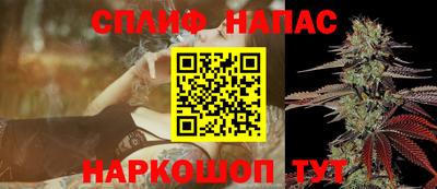 стафф Бердск