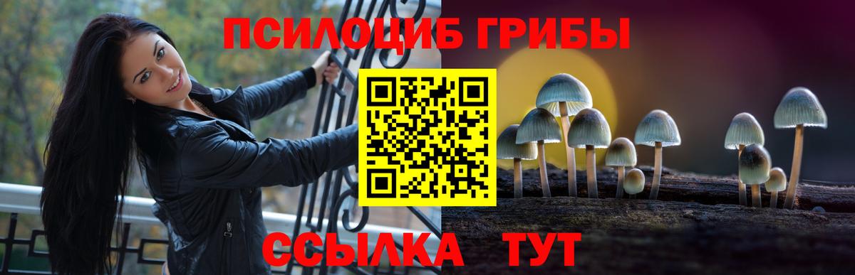 Псилоцибиновые грибы Psilocybe  Вход с VPN  Клинцы 